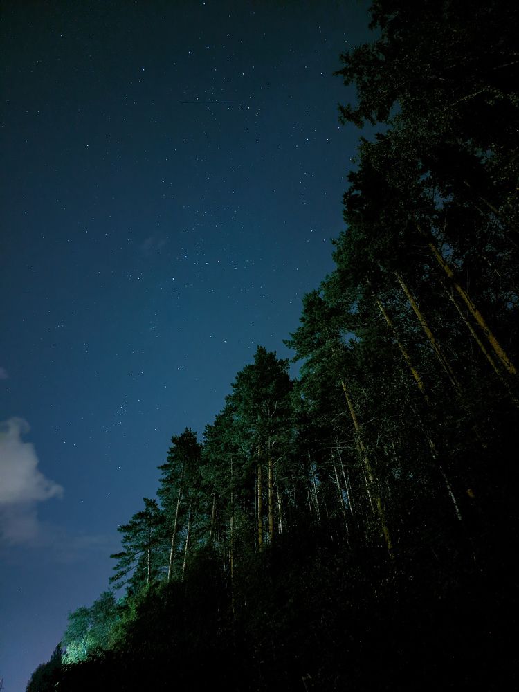 Photograph by Денис Меняк