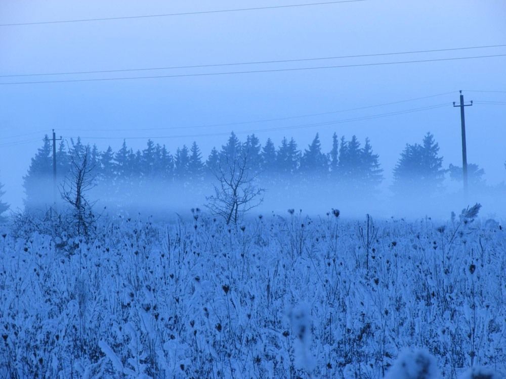Photograph by Ирина Гаража