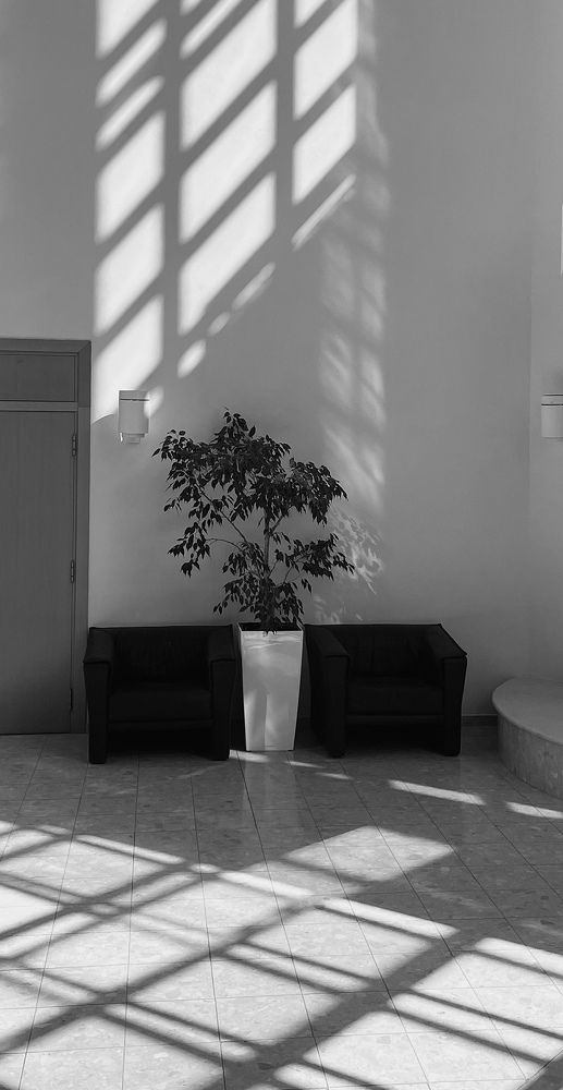 Photograph by Светлана Кавказская