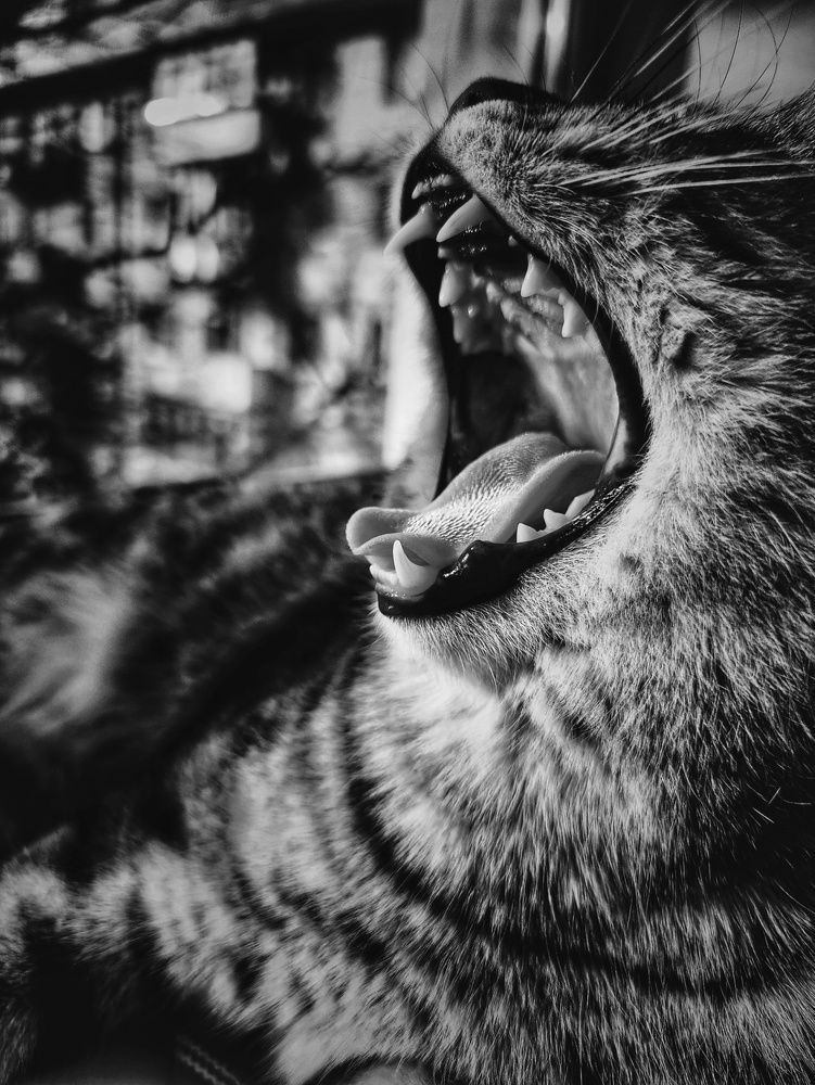 Photograph by Konstantin Martynov