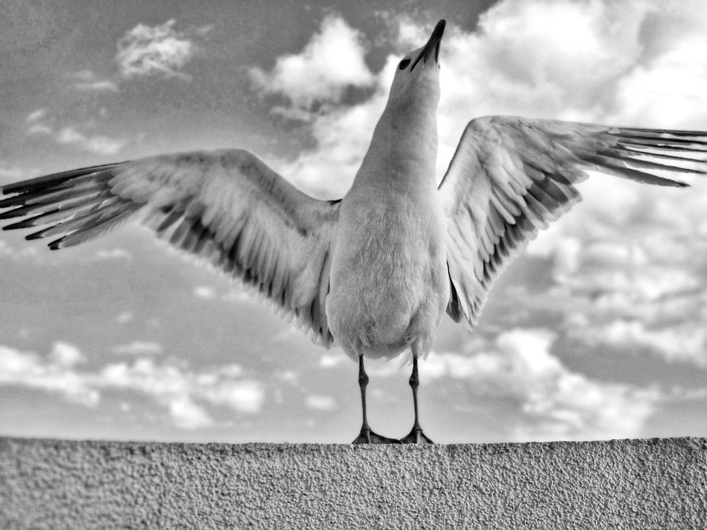 Photograph by Юлия Звонарева