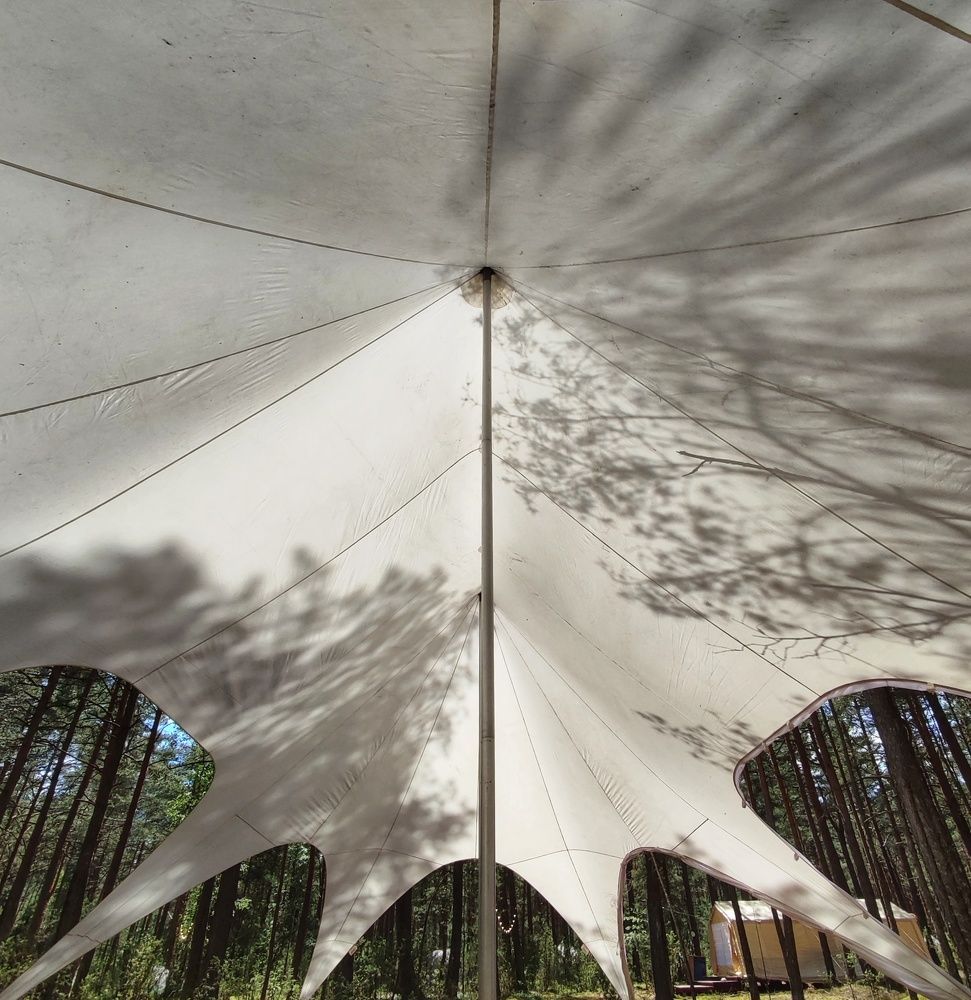 В тени деревьев