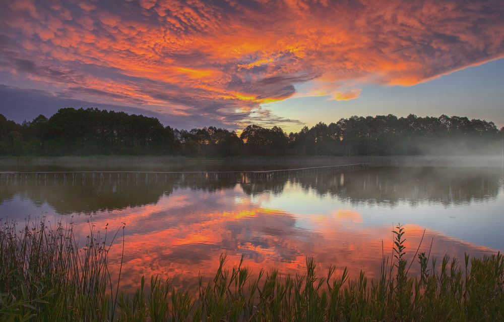 Summer sunset over the lake