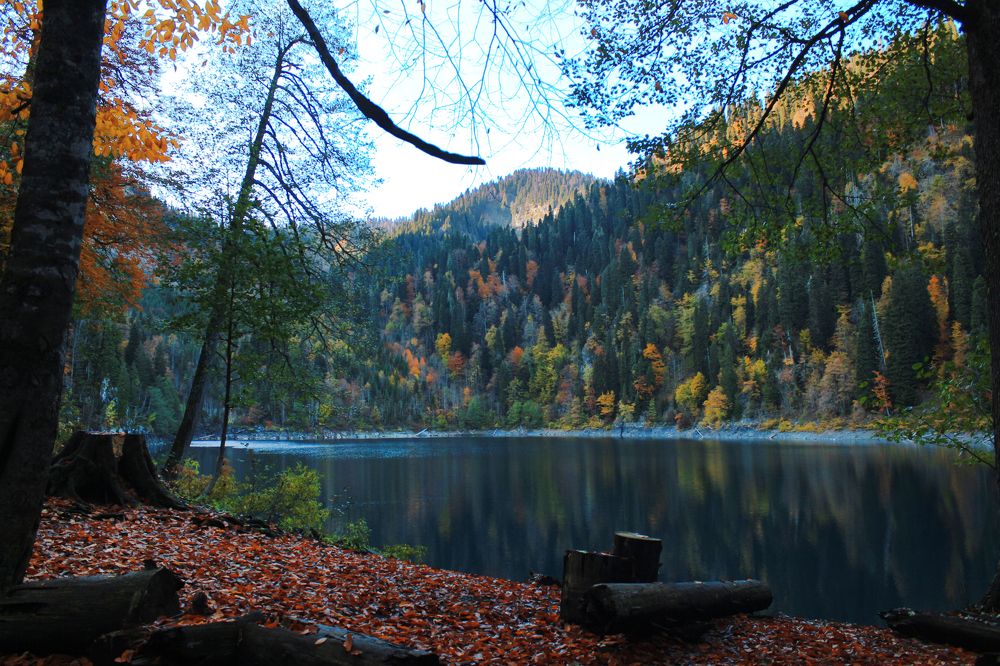 Photograph by Елизавета