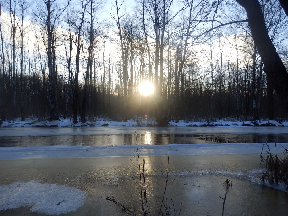 Photograph by Георгий Салюков