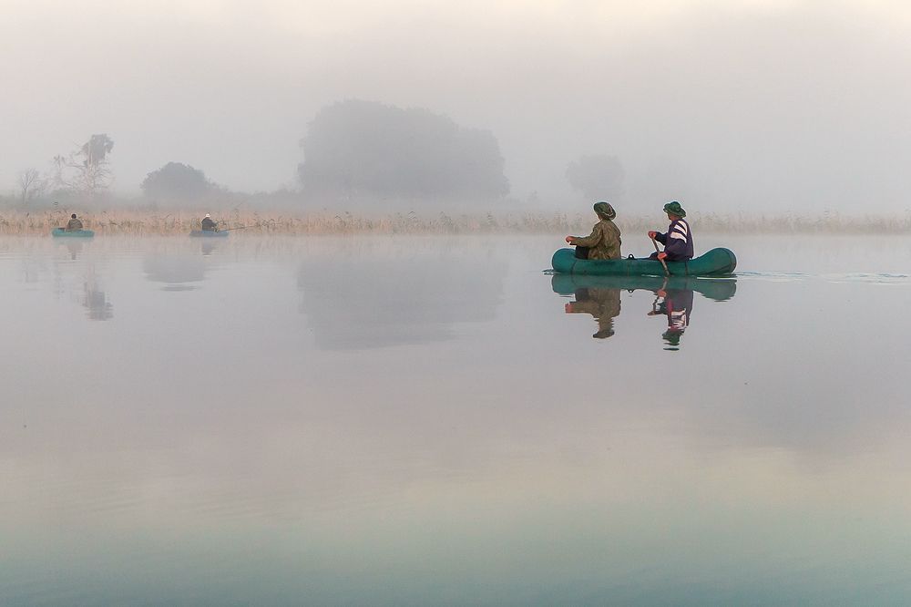 Туманное утро