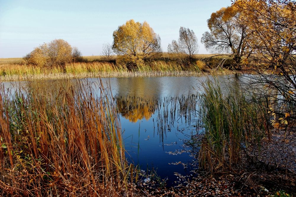 Photograph by Анна Восковых
