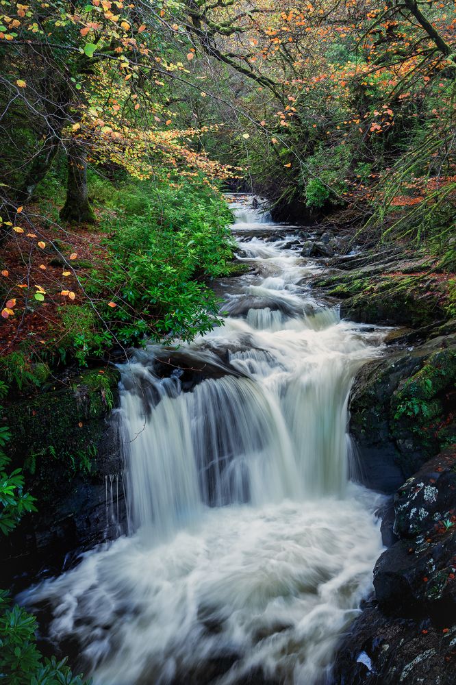 Photograph by Anatoly Chomko