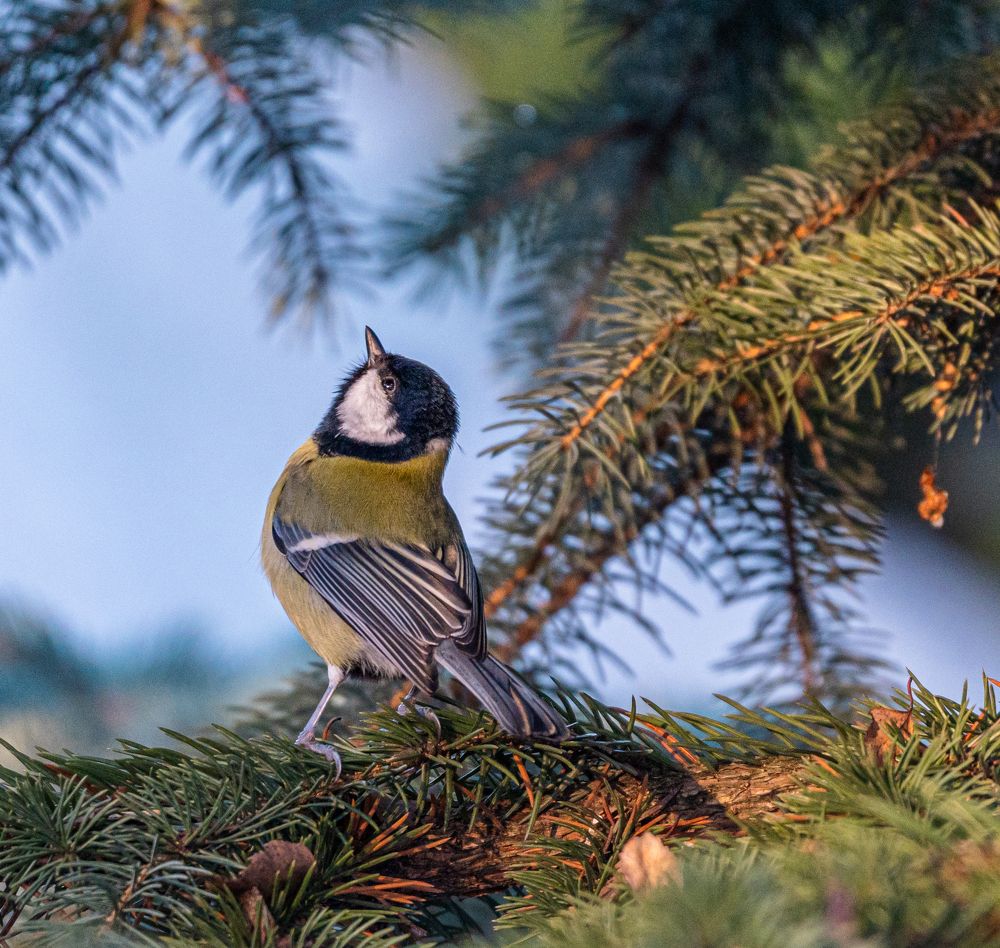 Photograph by Курлянцев Алексей