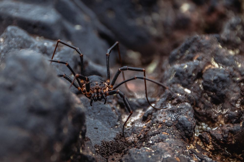 Photograph by Андрей Кулятин