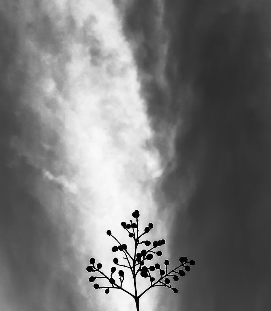Photograph by Fatemeh Feyzi
