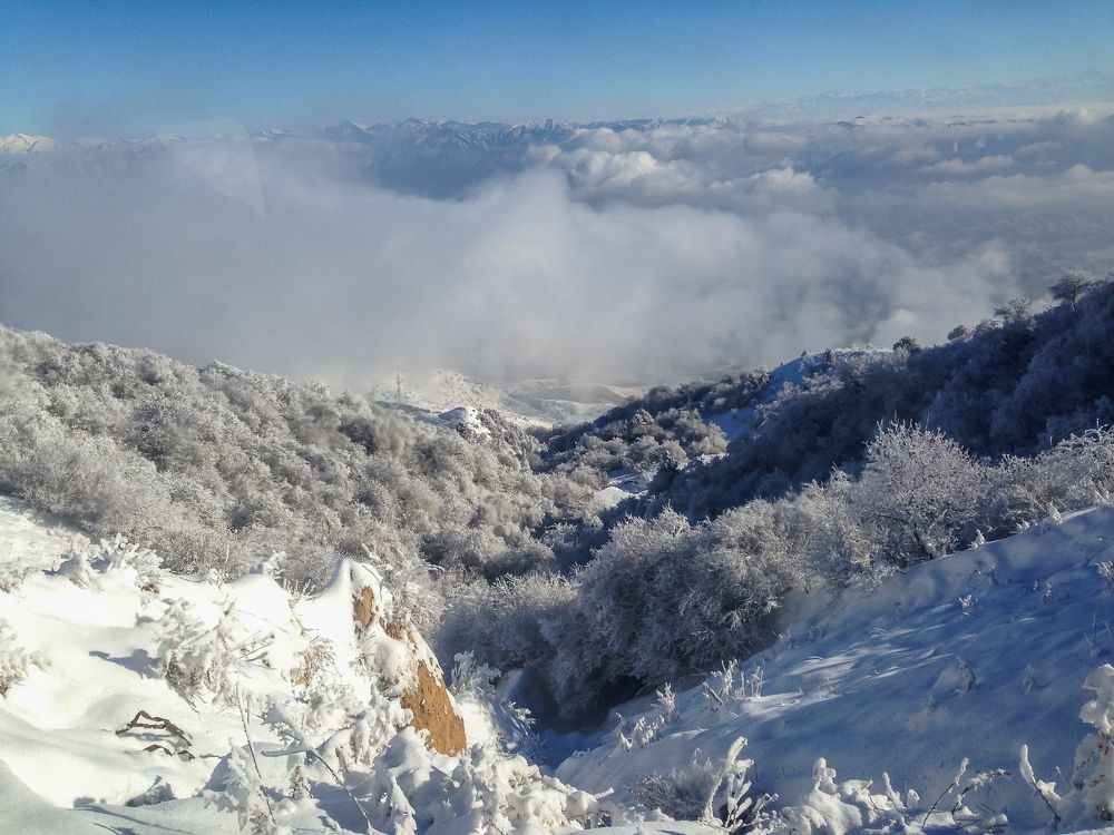 Photograph by Антон Сарвилин