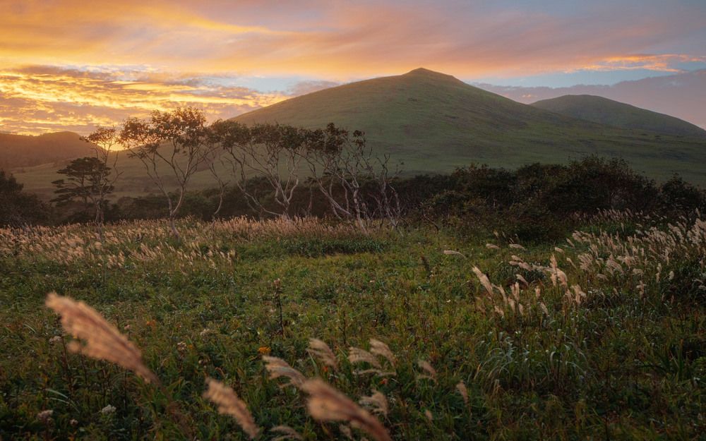 Photograph by Елена Станькова