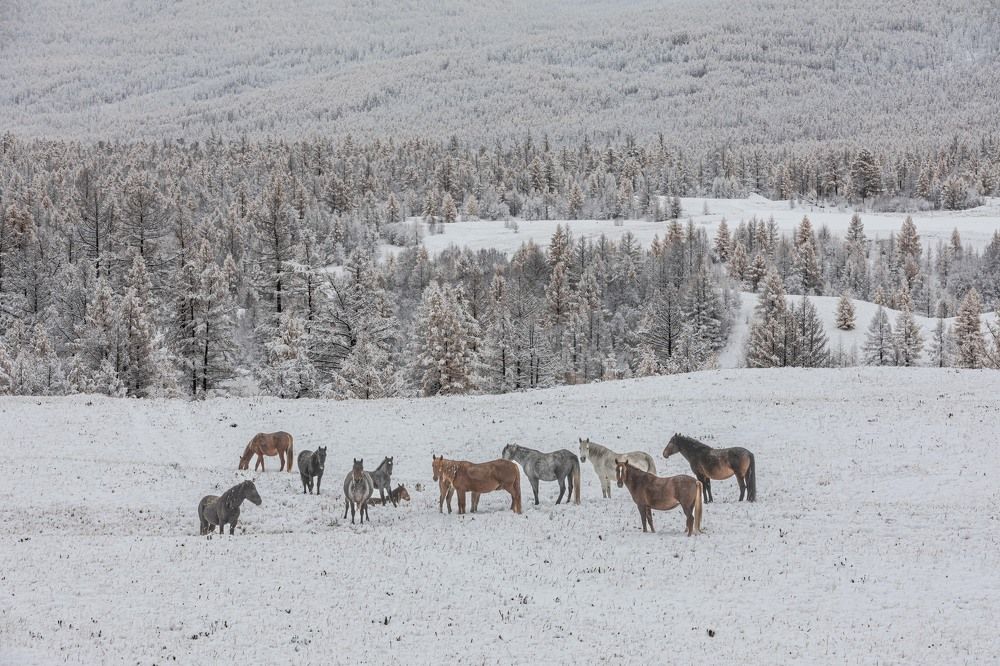 Photograph by Илья Поляк