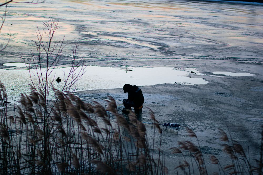 Photograph by Любовь Малышева