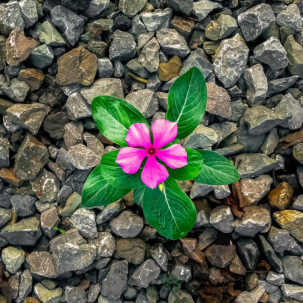 Photograph by Fatemeh Feyzi