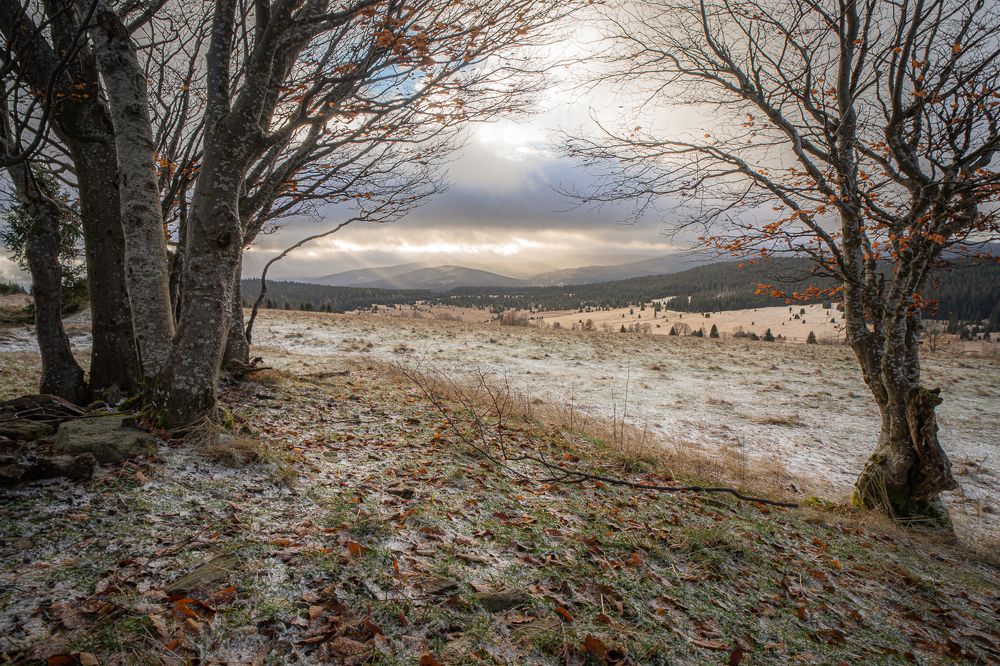 Last vista of the year