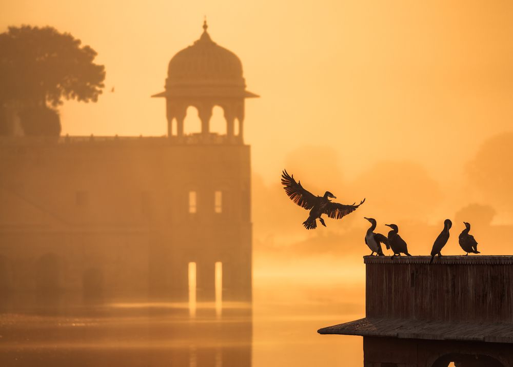 Photograph by Эрнест Вахеди