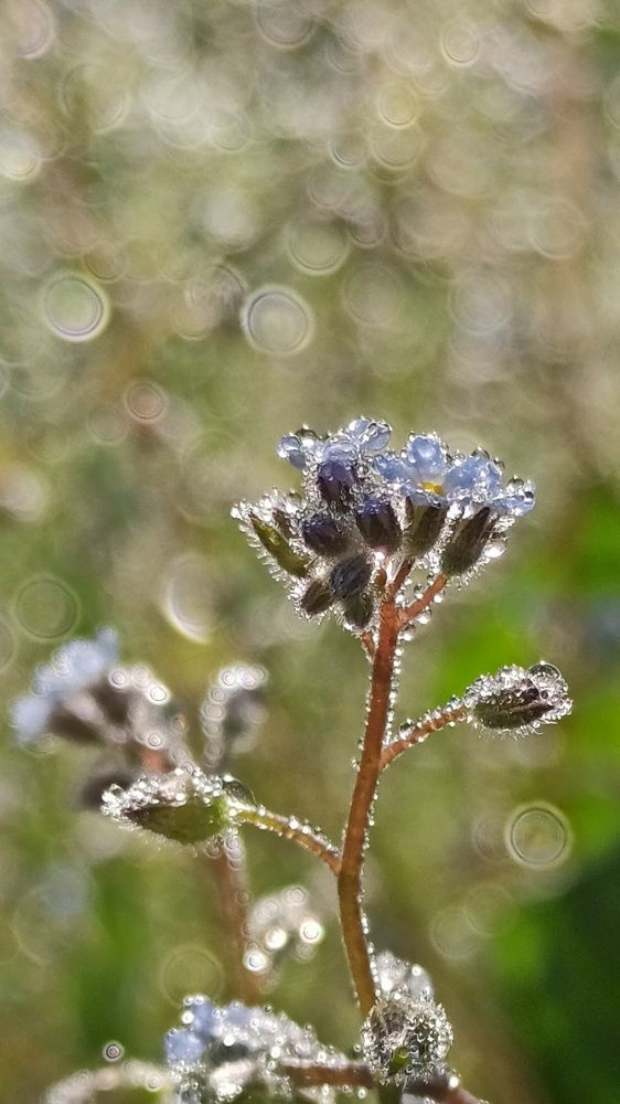 Photograph by Eлена Смирнова