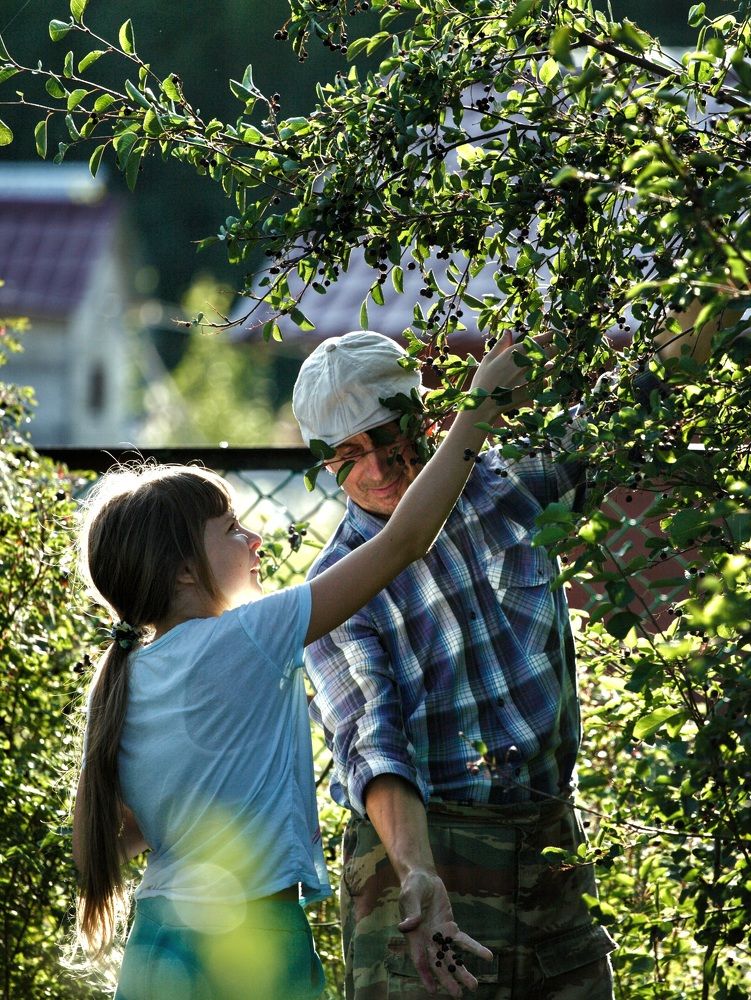 Photograph by Вячеслав Ригачин