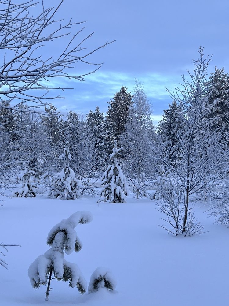 Photograph by Татьяна Блохина