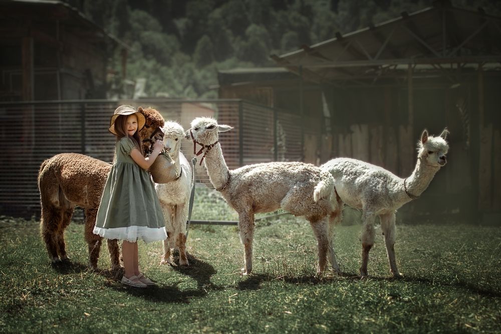 Photograph by Ольга Коротенко