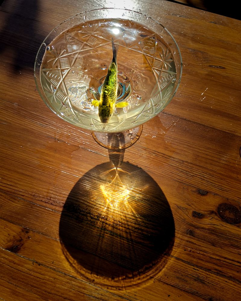 Photograph by Наталья Балабанова