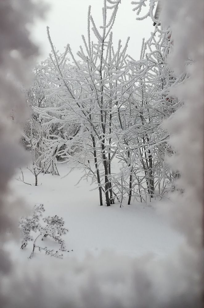 Photograph by Мария