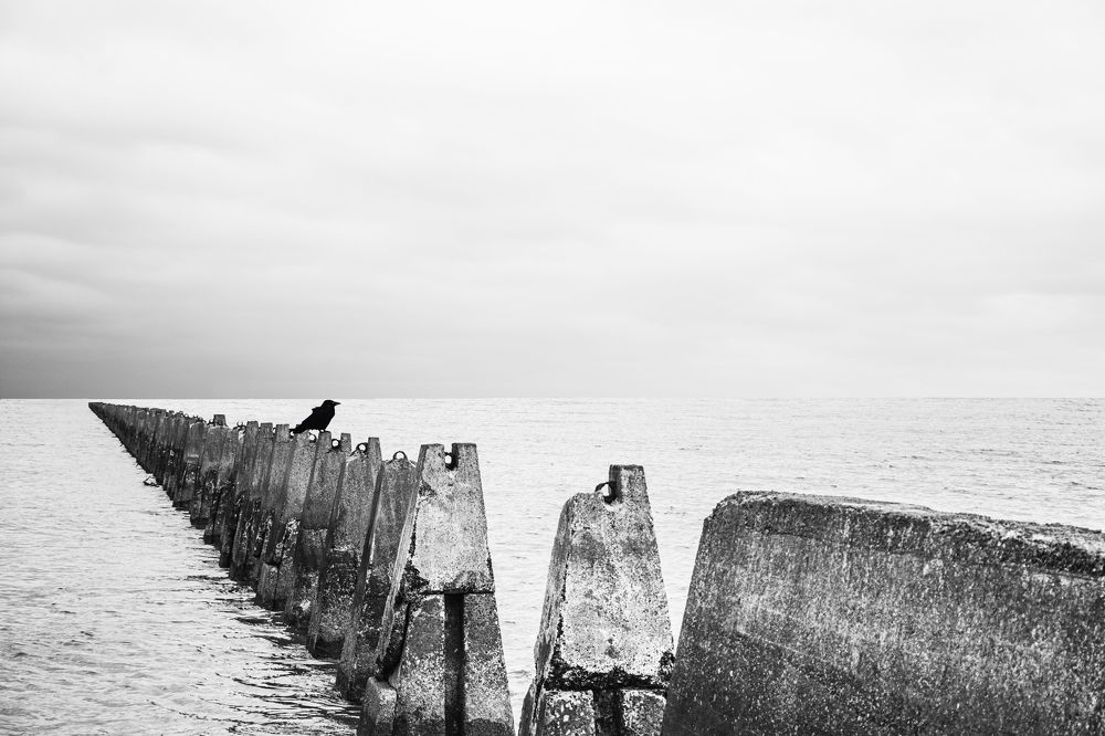 Photograph by Shahabedin Zeini Aslani,