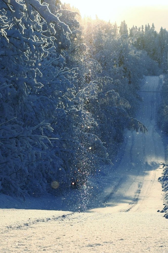 Photograph by Вячеслав Ригачин