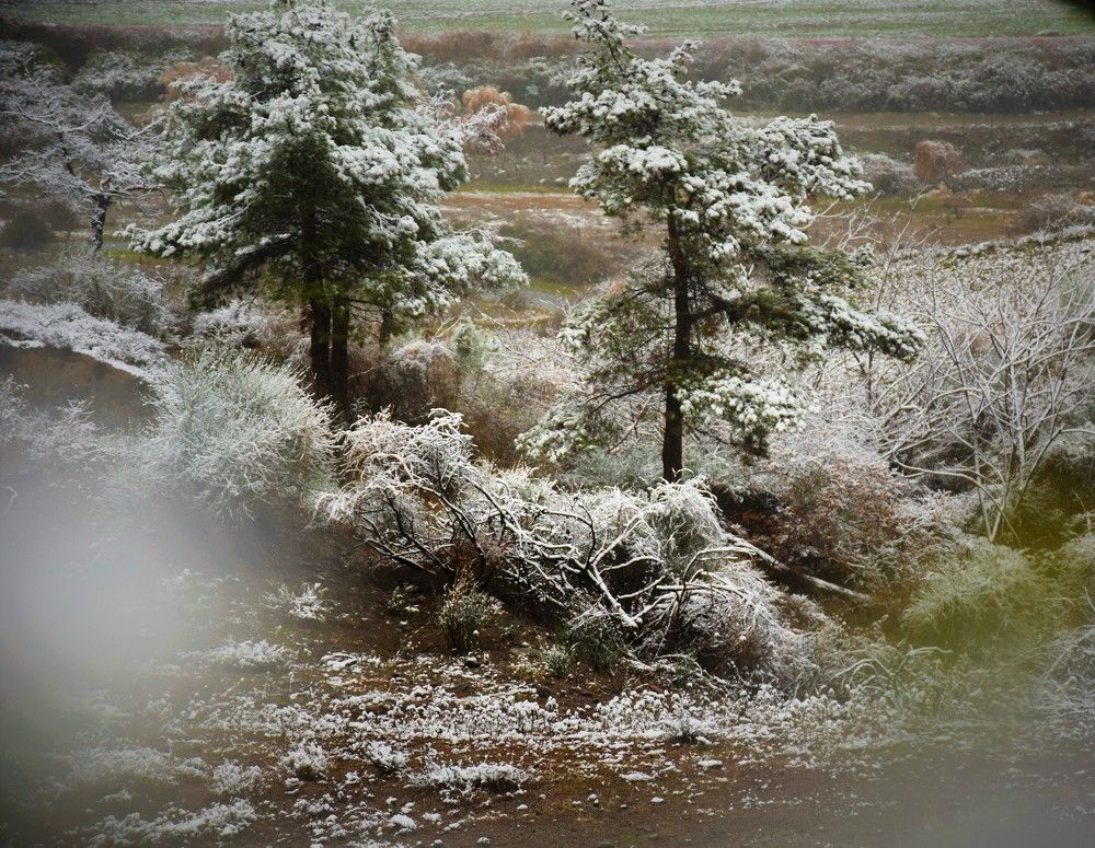 Photograph by Гурбан Масимов