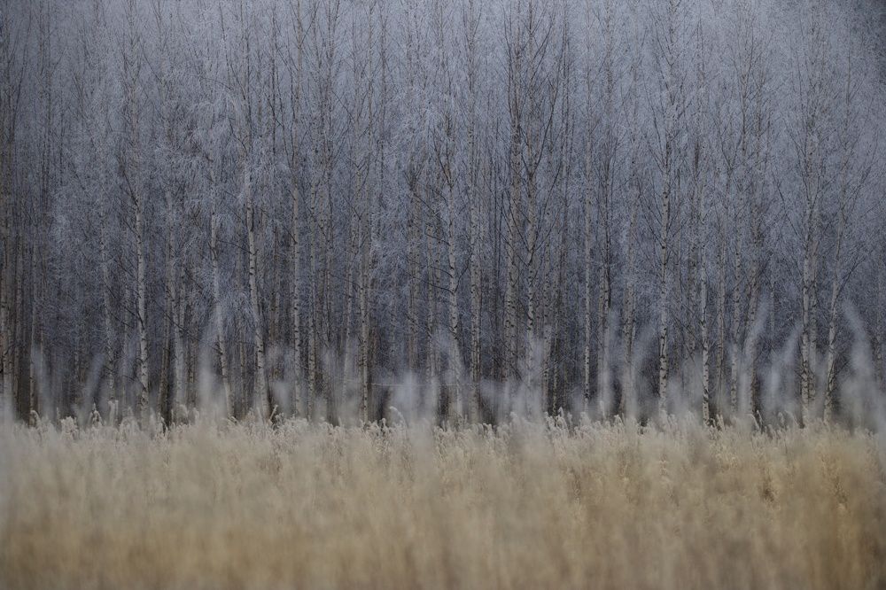 Photograph by Вячеслав Ригачин