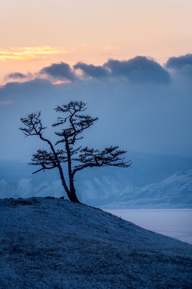 Photograph by Мария Григорьева