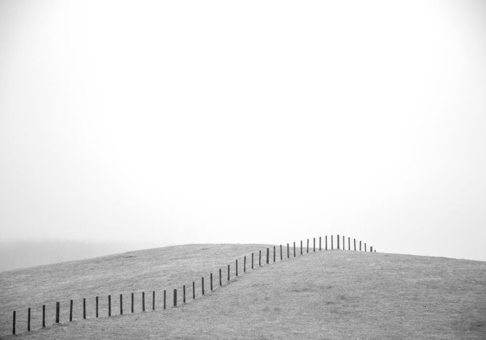 Photograph by Shahabedin Zeini Aslani,