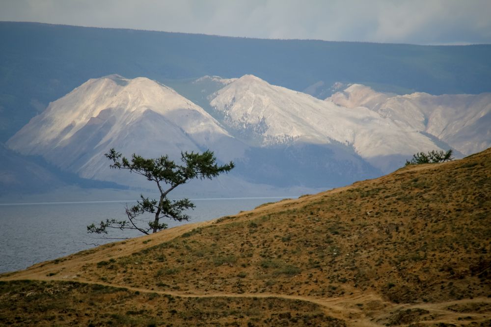 Photograph by Ольга Мурашева