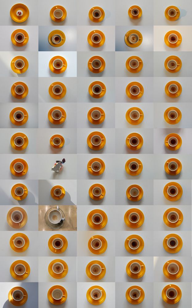 365 cups, series of bimestrial panels