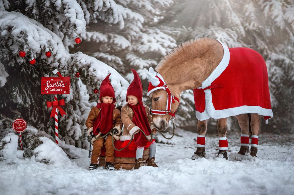 Photograph by Kasia Kapała