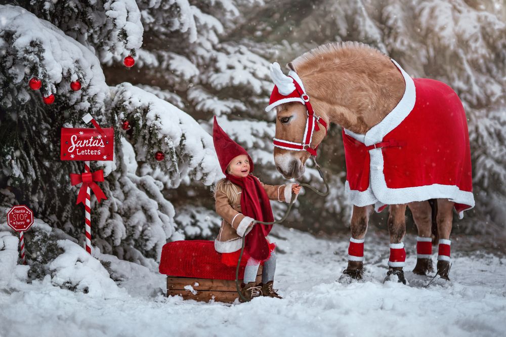 Photograph by Kasia Kapała