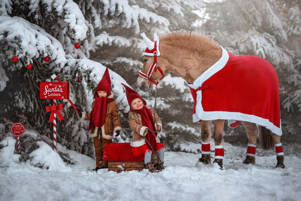 Photograph by Kasia Kapała