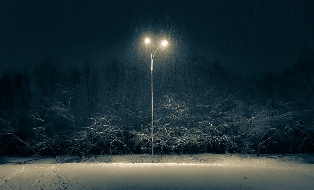 Photograph by Mariya Sazonova