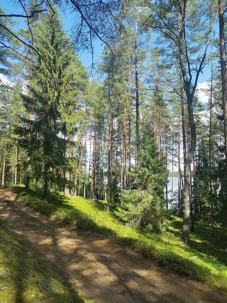 Photograph by Екатерина Борисовна Кузьмина