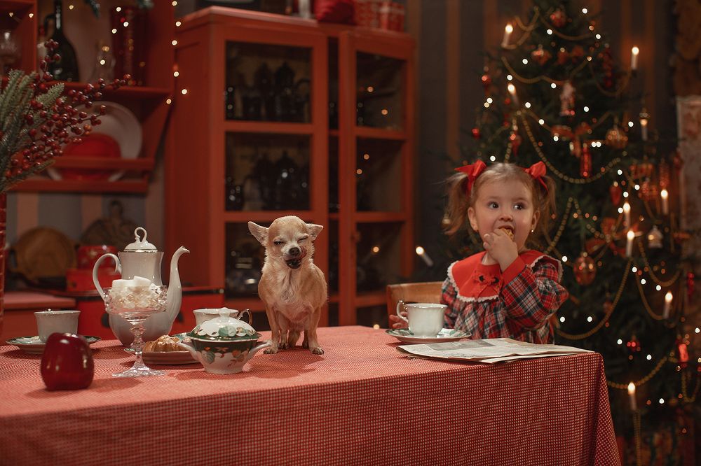 Photograph by Алена Яковлева