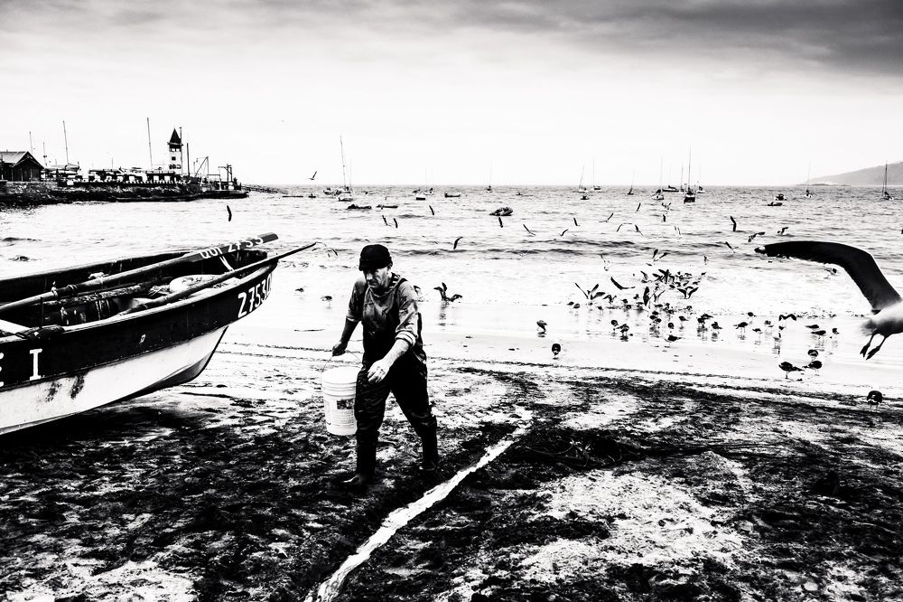 Photograph by Katherine Strauss