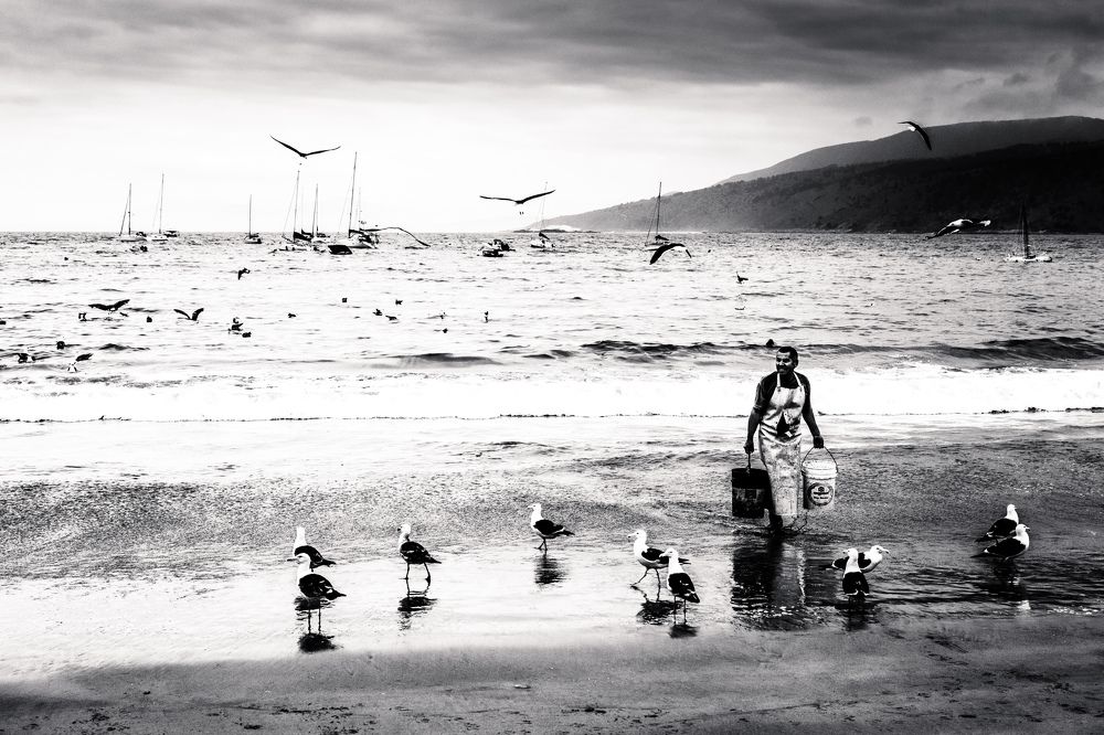 Photograph by Katherine Strauss