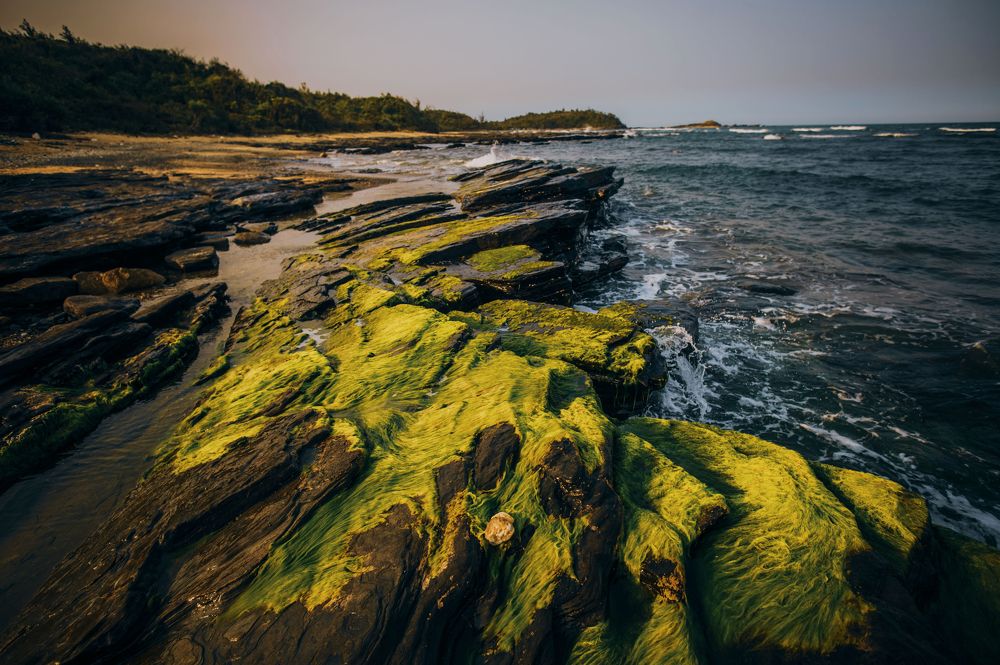 Photograph by Trần Ngọc Thanh