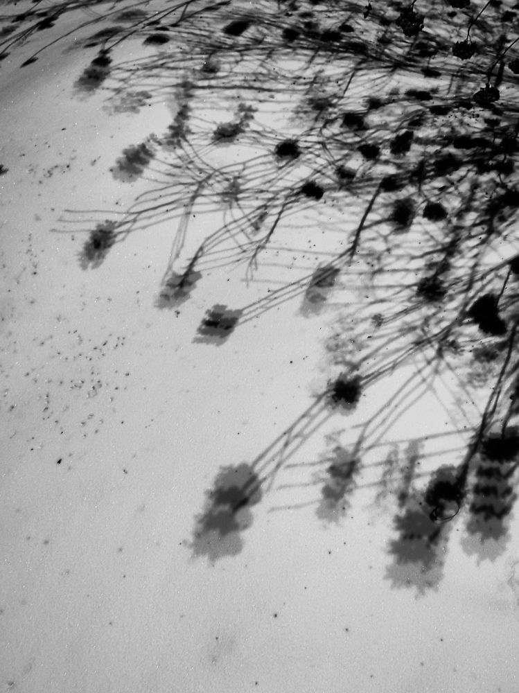 Photograph by Elena Kilina