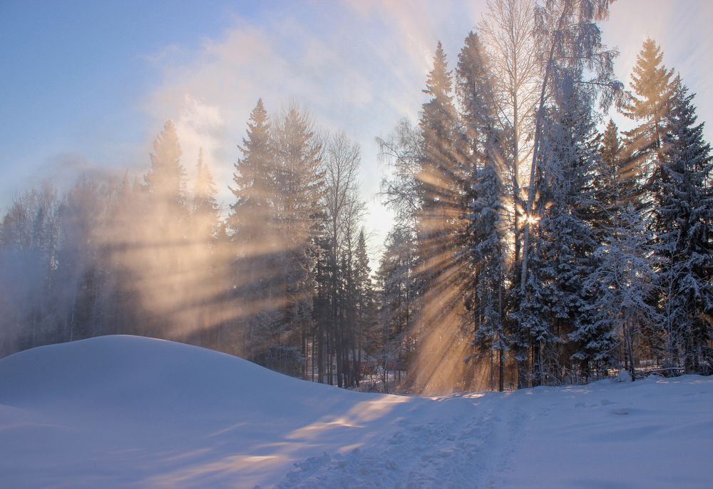 Photograph by Larisa Usova