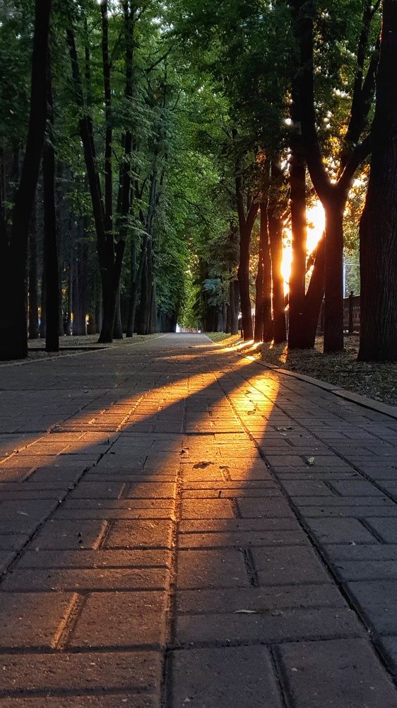 Photograph by Larisa Usova