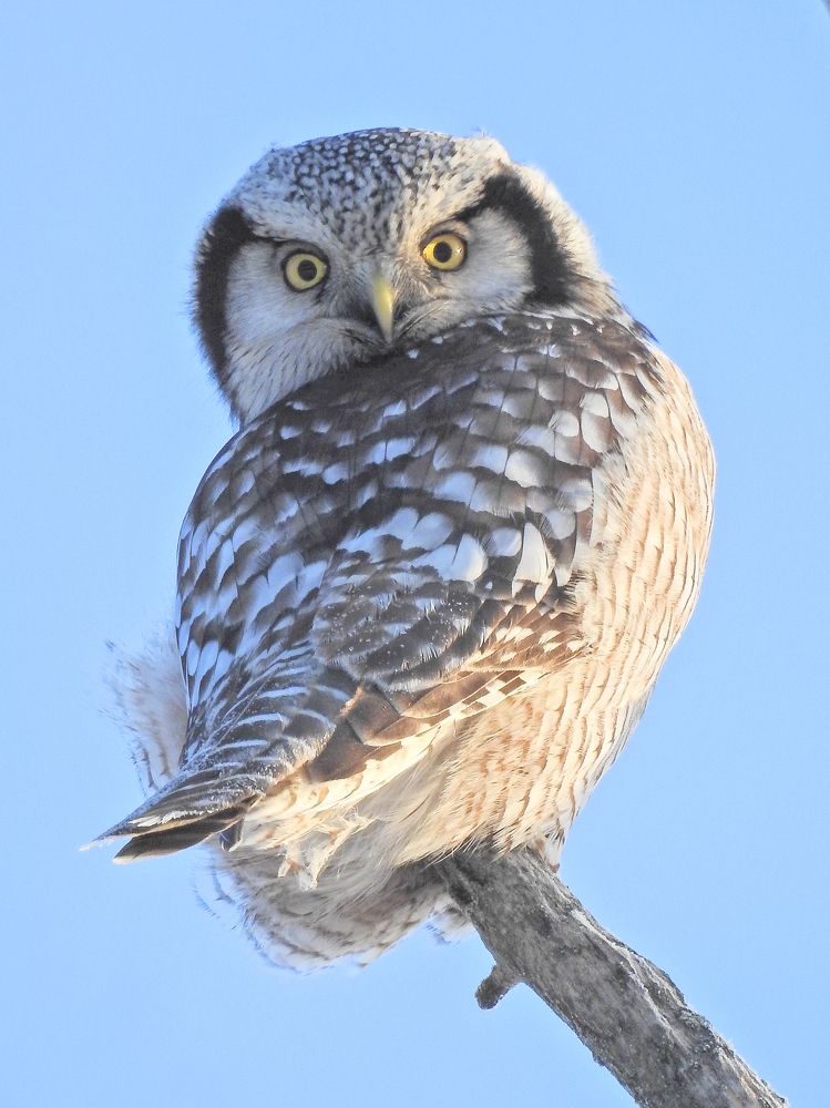 Photograph by Игорь Степанов