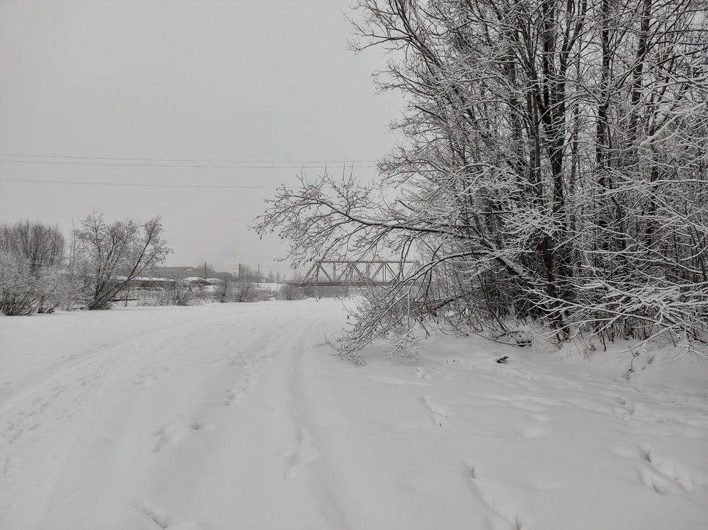 Photograph by Ирина Саттарова